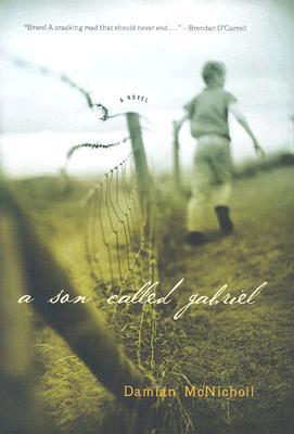 Book cover of Damian McNicholl's "A Son Called Gabriel"