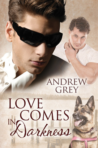 A Taste of Love by Andrew Grey