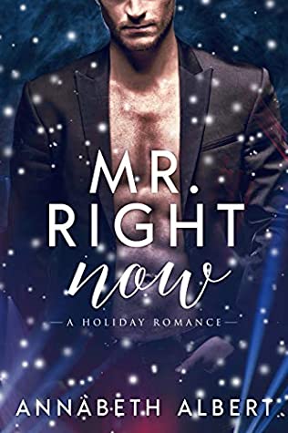 Book cover of Annabeth Albert's "Mr Right Now"