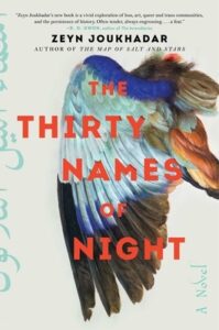 Book cover of Zeyn Joukhadar's "The Thirty Names of Night"